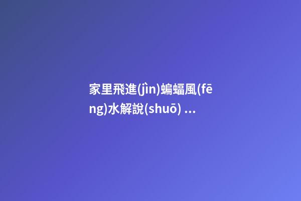 家里飛進(jìn)蝙蝠風(fēng)水解說(shuō) 動(dòng)物風(fēng)水